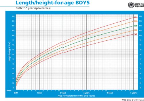 growth-length-b1